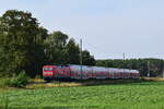 112 183 rauscht mit einem RE4 durchs brandenburgische Flachland seinem Ziel Falkenberg Elster entgegen.

Großrössen 23.09.2024