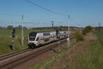 4110 113 als IC 2177 von Rostock nach Dresden am 27.04.2025 in Subzin-Liessow.