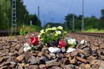 An einem kleinen Bahnübergang in Blankenfelde zwischen Moselstraße und Erich Klausener Straße fielen mir diese Blumen auf welche noch nicht alt waren. Sie erinnern an einen Jungen welcher hier im Novemer 2008 bei einer Mutprobe ums Leben gekommen ist. Bis heute legen die Angehörigen hier Blumen nieder. Nicht viele Fußgänger haben auf die Blumen geachtet aber es sollte für viele eine Warnung und eine Art Mahnmal sein wie man sich auf Bahnübergängen und Gleisen zu verhalten hat und man nicht immer Glück hat unbeschadet davon zu kommen. Auch solche Sachen gehören zur Eisenbahn dazu auch wenn nicht immer positiv. 

Blankenfelde 17.07.2020