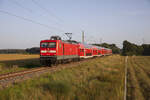 Die 112 113 zog im schönen Abendlicht, des 11.09.2023 den RE5 3514 Oranienburg - Stralsund, durch die Vallachei bei Zacharie.