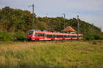442 847 als RE 5 von Neustrelitz nach Stralsund am 17.10.2022 in Demmin aufgenommen.