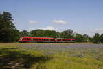 648 116 und 118, im Sauerland-Netz zunächst durch 644, inzwischen durch PESA-LINK ersetzt, bilden jetzt den Prignitz-Express (RE 6 Berlin - Wittstock/Dosse). Aufgenommen bei Fretzdorf (Prignitz) am 7.6.19.
