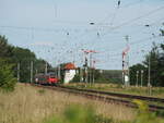 442 823 und ein unbekannter 3-teiliger Talent II voran fahren als RE 7 kurz nach dem Verlassen von Wiesenburg (Mark) Richtung Berlin.