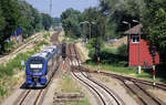 Niederbarnimer Eisenbahn 632 005 (Nachschuss) + 632 xxx (Mitte) + 632 007 (führend)  // Fredersdorf (bei Berlin) // 11. Juni 2018
