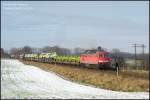 232 691 zieht diesen interessanten Zug (49459), beladen mit Claas Jaguar, Gebrauchtautos, Stromverteilstationen und anderes von Berlin nach Kostrzyn. Der Zug ist hier kurz vor Trebnitz, 26.11.08.