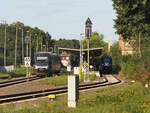 Treffen in Müncheberg auf der Ostbahn.
Während BEMU 563 043 auf die Ausfahrt Richtung Berlin wartet, trifft VT 732 (Talent) nach Kostrzyn ein. Beide Fahrzeuge gehören zur NEB.

Müncheberg, der 06.08.2025