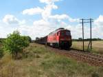 232 409 mit 45449 in M�ncheberg (19.08.2006)