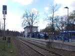 Auch wenn der Ort durch die Waldsiedlung weltweit bekannt ist,so hat Wandlitz nur einen kleinen bescheidenen Bahnhof.Es gibt auch noch eine zweite Bahnstation.Aufnahme vom 08.April 2016.