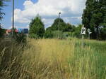 Die Pfeitafel Richtung Liebenwalde steht in Zehlendorf immer noch vor dem unbeschrankten Überweg.Die Gleise sind teilweise zugewachsen.Aufgenommen am 26.Juni 2021.