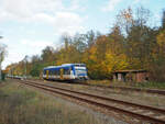 RS1 (VT 013) der Niederbarnimer Eisenbahn (NEB) auf der RB36, hier bei Müllrose.

Müllrose, der 04.11.2023