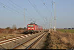 143 591-6 erreicht den Hp Peißen auf Gleis 2.
Aufgenommen am Ende des Bahnsteigs 1.

🧰 S-Bahn Mitteldeutschland (DB Regio Südost)
🚝 S 37918 (S9) Eilenburg–Halle(Saale)Hbf
🚩 Bahnstrecke Halle–Cottbus (KBS 219)
🕓 25.2.2021 | 16:18 Uhr
