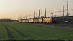 Im letzten Licht macht sich 193 381-1 (Siemens Vectron) mit verschiedenen Güterwagen von der ZBA Halle (Saale) Richtung Delitzsch auf die Reise. Hier fotografiert in Halle (Saale), Zöberitzer Weg.

🧰 DB Cargo
🚩 Bahnstrecke Halle–Cottbus (KBS 219)
🕓 25.2.2021 | 17:18 Uhr