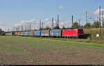 Gemischter Gz mit 193 362-8 (Siemens Vectron) unterwegs in Halle (Saale), Zöberitzer Weg, Richtung Delitzsch.

🧰 DB Cargo
🚩 Bahnstrecke Halle–Cottbus (KBS 219)
🕓 7.10.2021 | 14:22 Uhr