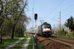 Mit dem EC 175 nach Budapest durchf�hrt ES64U2 -034 der MRCE Dresden-Stetzsch. (10.4.2011)