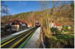 Sebnitztalbahn: Wiederer�ffnung nach dem Augusthochwasser 2010:
Am 08. August 2010 war die Strecke durch das verheerende Hochwasser an mehreren Stellen schwer besch�digt worden - besonders hart traf es den Einschnitt bei Kilometer 58,0 nahe Go�dorf-Kohlm�hle. Nun hat die Bahn ( endlich ) die Sch�den behoben und der Zugverkehr konnte am 13. November wieder aufgenommen werden. In den Bahnh�fen von Sebnitz und Go�dorf-Kohlm�hle wurde dieser Anlass gefeiert, gleichzeitig aber auch genutzt um erneut gegen eine Streckenstilllegung zum n�chsten Fahrplanwechsel zu demonstrieren - denn dieser steht trotz aller Freude nach wie vor bedrohlich nah! 
Regionalbahn 17131 von Neustadt kommt hier im besten Licht der Herbstsonne bei herrlich warmen 16�C aus dem Tunnel 7 ( mit 377 Metern der l�ngste auf der Strecke) bei Rathmannsdorf und wird in wenigen Minuten Bad Schandau erreichen.
14.11.2010
