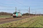 186 135-0 bewegt sich bei Hohenthurm solo gen Halle (Saale).