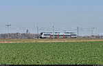 Am Schloss vorbei:  Ein 1442 (Bombardier Talent 2) ist aus Hohenthurm abgefahren und trifft bald in Halle (Saale) ein.