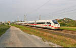 812 026-3 (Tz 9026  Zürichsee ) unterwegs bei Landsberg (Saalekreis).