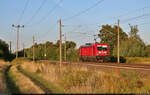 187 113-6 strebt als Tfzf Richtung Bitterfeld.