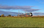 Eine Viertelstunde nach dem Sonderzug riss der Himmel bei Hohenthurm endlich auf, und 1442 665 (Bombardier Talent 2) war das erste Motiv mit Sonne an diesem Samstagmorgen.