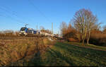 2159 232-8 (Lok 566 | Stadler Eurodual) zieht mal wieder Kesselwagen hinter sich her, hier bei Brehna Richtung Halle (Saale).