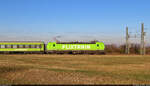 Von der Seite ließ sich Flixtrain-Zuglok 6193 435-5 (Siemens Vectron) bei Hohenthurm ablichten.

🧰 ELL Austria GmbH (European Locomotive Leasing), vermietet an die Netzwerkbahn Sachsen GmbH (NeS) für Flixtrain GmbH
🚝 FLX 1240 (FLX 10) Stuttgart Hbf–Berlin Gesundbrunnen [+15]
🕓 29.12.2024 | 12:23 Uhr