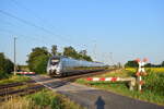 442 303 fährt als RE13 durch Güterglück in Richtung Magdeburg. 

Güterglück 18.07.2023