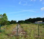 Blick auf die einstige Trasse von Jerichow nach Fischbeck.