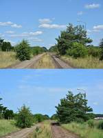 Nur 1 Jahr liegt zwischen diesen Bildern und doch verändert die seit 2004 stillgelegte Kanonenbahn immer wieder ihr Umfeld. Obwohl ich nie Bagger oder ähnliches an der Strecke sah verschwindet sie Jahr für Jahr immer ein wenig mehr.
Das Bild oben stammt vom 20.6.2016. Das untere Bild stammt vom 1.8.2017
Man sieht bereits das hier auch schon die Schwellen entfernt werden.

Nedlitz 01.08.2017