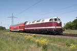 228 501 mit einem Doppelstockwagen zur Überführung aus Wustermark kommend, in Richtung Leipzig.