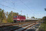 143 650 von DeltaRail mit einem Crafter Zug, in der Genshagener Heide, am 19.10.2025. An der Stelle befand sich der gleichnamige Bahnhof bis 2012. 