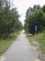 Bahntrasse zwischen Grieen und dem ehemaligen Ort Horno.