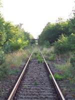 ex KBS 296 Angermnde-Bad Freienwalde, stillgelegt seit 1997, am 09.08.2009 von den ehemaligen Rangiergleisen des Bahnhofs Oderberg-Bralitz in Richtung Bad Freienwalde