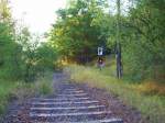 ex KBS 296 Angermnde-Bad Freienwalde, stillgelegt seit 1997, am 09.08.2009, das Anschlussgleis des VEB Imperhandel, die letzten berreste kurz vor dem Werksgelnde