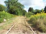ex KBS 296 Angermnde-Bad Freienwalde, stillgelegt seit 1997, am 13.08.2009, Blick vom Bahnbergang alte Bahnhofstrasse in Bralitz Richtung Oderberg, die Arbeiter sind bereits dabei die Gleise zu