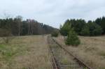ex KBS 296 Angermnde-Bad Freienwalde, stillgelegt seit 1997, am 05.04.2008 bei km 26, langsam wchst alles zu, Blickrichtung Angermnde
