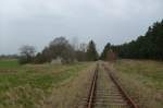 ex KBS 296 Angermnde-Bad Freienwalde, stillgelegt seit 1997, am 05.04.2008 bei km 27, Blickrichtung Angermnde