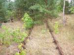 Eberswalde-Finowfurter Eisenbahn, bei Km 5,0 am Abzweig zum Messingwerk  31.08.08
