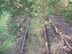 Abzweig zum Kraftwerk Finow bei Km 3,75  31.08.08