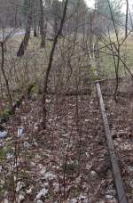 1.4.2014 Eberswalde-Finowfurter Eisenbahn. Noch nicht von Schrottdieben gemopste Gleise / Weiche vor der Einfahrt zum Imprägnierwerk Hubertusmühle