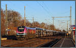 Die Stadler Euro 9000 2019 307-8 der HSL zieht am 01.03.2026 einen Autozug durch Niederndodeleben.