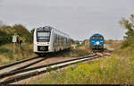 272 001-9 (Vossloh G 2000-3 BB) muss erst den RE mit 1648 946-9 und einem weiteren Alstom Coradia LINT 41 in der Gegenrichtung passieren lassen, ehe sie sich mit dem Kalkstein von der Verladestelle in Staßfurt losmachen kann.

🧰 Abellio Rail Mitteldeutschland GmbH | ENON Gesellschaft mbH & Co. KG, vermietet an die Eisenbahngesellschaft Potsdam mbH (EGP)
🚝 RE 74850 (RE10) Erfurt Hbf–Magdeburg Hbf
🚩 Bahnstrecke Schönebeck–Güsten (KBS 335)
🕓 25.8.2021 | 17:21 Uhr