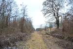 Blick auf die ehemalige Bahnstrecke Schönebeck - Güsten sowie den ehemaligen Haltepunkt Rathmannsdorf.