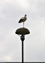 So eine Pilzlampe lädt zum Verweilen ein...