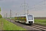 [Reupload]    1648 952-7 (Alstom Coradia LINT 41) als RB47-Verstärker unterwegs in Braschwitz.