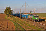 Die Anfang 2022 in Dienst gestellte 193 691-3  Bertha von Suttner  (Siemens Vectron) führt blaue TRANSWAGGON Hackschnitzel-Container der Mercer Holz GmbH durch Braschwitz Richtung Halle (Saale).