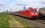 Alle Jahre wieder am Himmelfahrts-Wochenende verkehrt ein  Säuferzug  vom Ruhrgebiet zum Flughafen Leipzig/Halle. Dieses Jahr erstmals mit der nun privaten 101 051-1, die zum Aufnahmezeitpunkt noch im DB-roten Farbkleid unterwegs war. Mit leichter Verspätung konnte das Gespann den Bahnhof Niemberg passieren und dabei einen Kesselzug überholen.

🧰 Train Charter Services B.V. (TCS) | Euro-Express Sonderzüge GmbH & Co. KG für Müller-Touristik GmbH & Co. KG
🕓 18.5.2023 | 14:58 Uhr