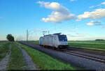 Einzelfahrt: Eine Minute nach der Durchfahrt dreier 187 auf dem Gegengleis rollt 186 146-7 als Tfzf auf dem Regelgleis in Braschwitz Richtung Halle (Saale).

🧰 Railpool GmbH, vermietet an die CTL Logistics GmbH
🕓 5.5.2024 | 19:39 Uhr