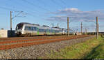 1442 114 und 1442 617 (Bombardier Talent 2) hamstern bei Benndorf (Kabelsketal) ihrem Ziel entgegen.