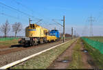 Ein Gleisbauschienenkran Kirow KRC 810 T wird von 202 817-3 Richtung Köthen geschleppt.